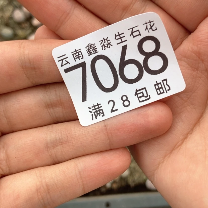 【闪购商品】7068特价1盘脱土微瑕饼干