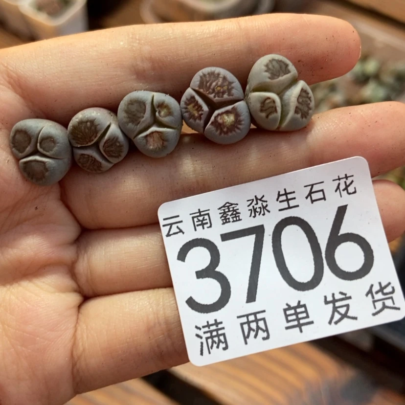 【闪购商品】3706特价5个奔驰微瑕
