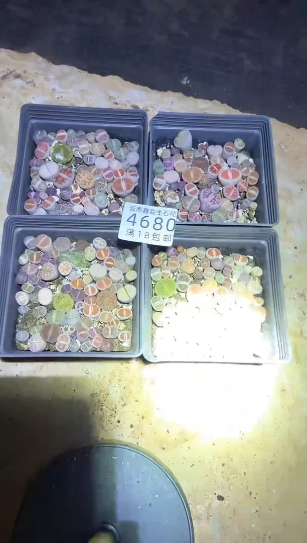 【闪购商品】4680十方混合彩色有疤瑕疵发货1盒量拍