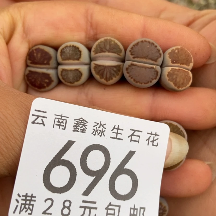 【闪购商品】696五颗