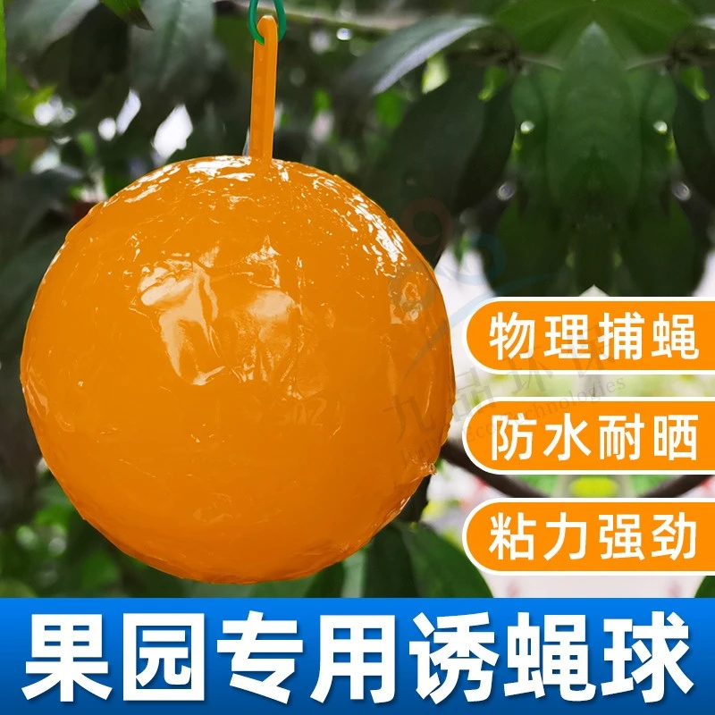 空消诱蝇球实蝇粘虫球捕柑橘大实蝇杀桔小实蝇针蜂沾马蜂小飞虫