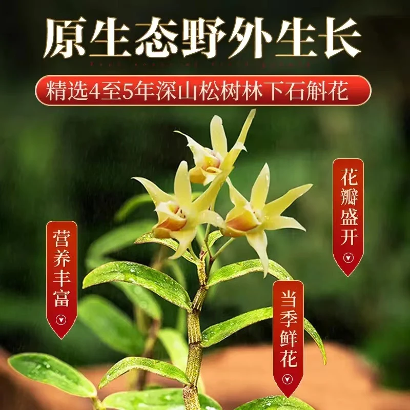 石斛花应季当年新花石斛干花茶石斛枫斗石斛花可搭枸杞（百合干）