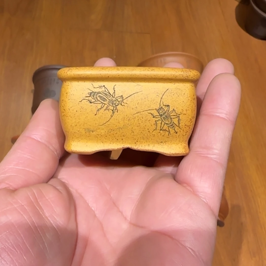 【闪购商品】紫砂花盆魏**琪