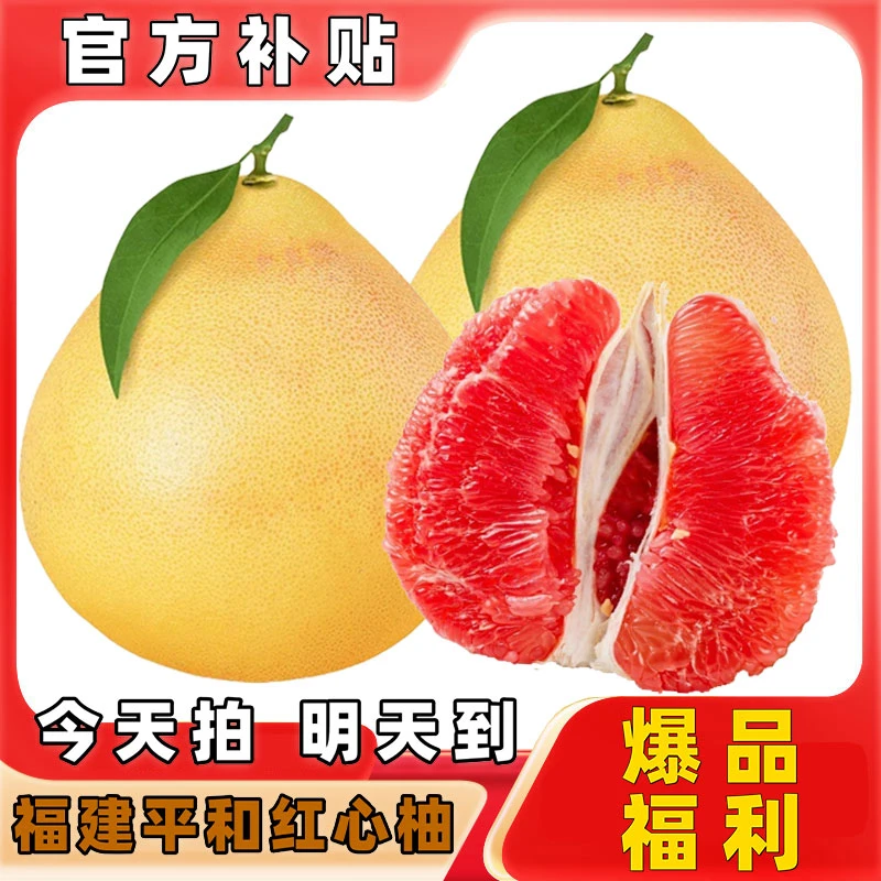 【次日达】正宗福建平和红肉蜜柚精选大果单个净重约2-4斤 新鲜应季水果超甜