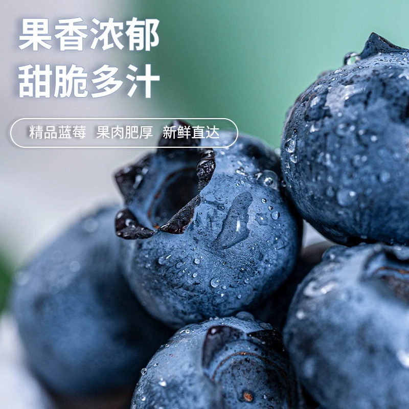 【云南抚仙湖蓝莓】花香脆甜 1斤装 露天生态种植现采现摘基地直发