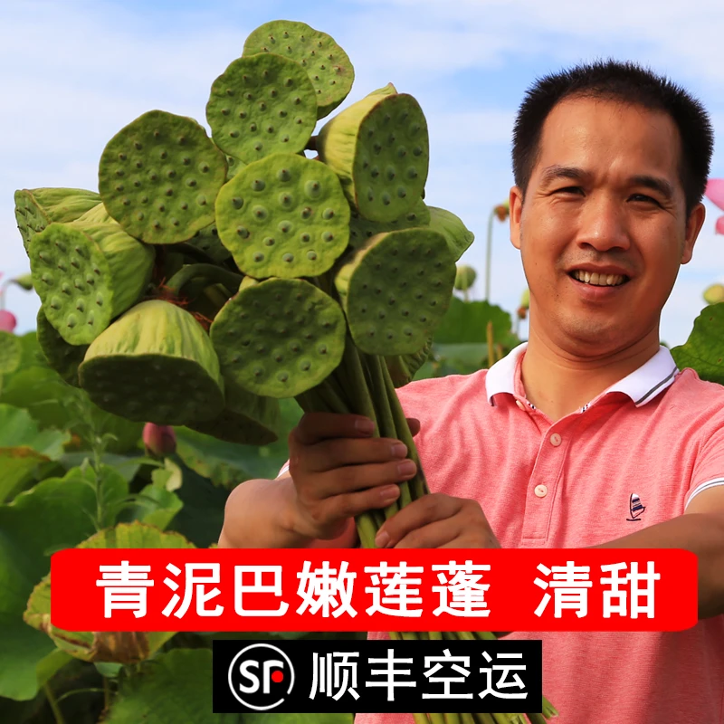 洪湖青泥巴新鲜莲蓬（3斤）顺丰空运带蓬鲜甜嫩莲子生吃水果莲子