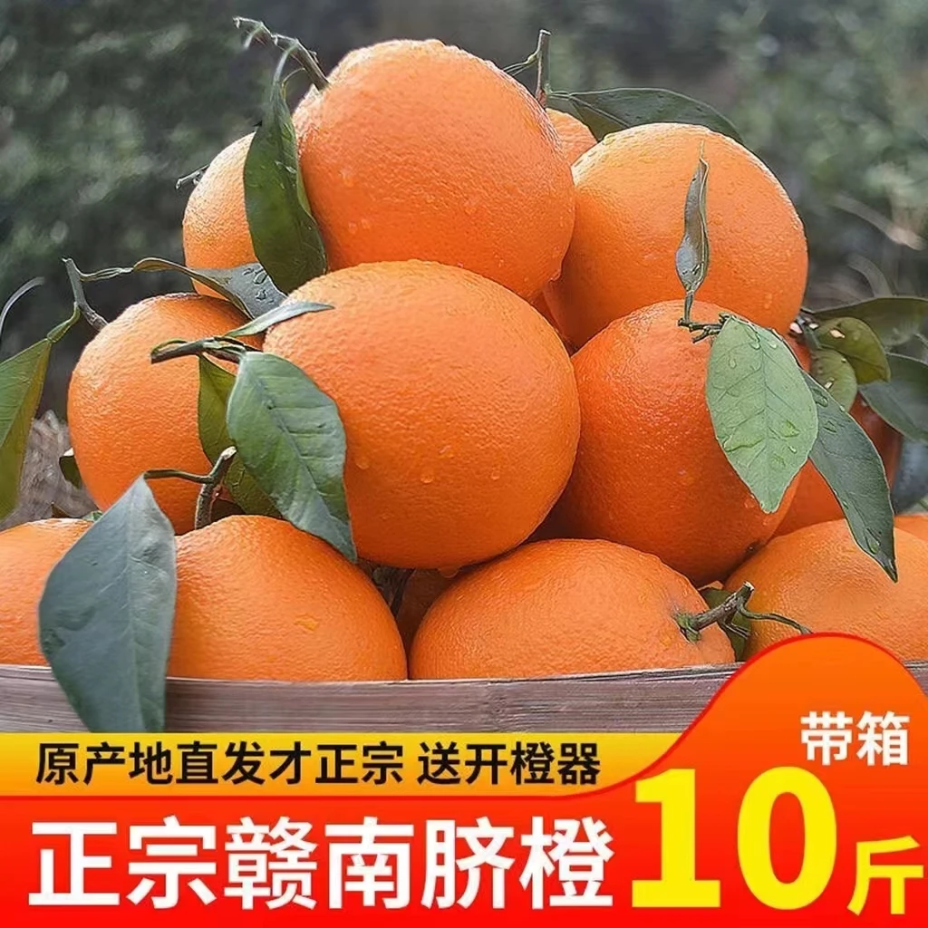 正宗赣南脐橙精品果带箱20斤江西赣南特产地直发新鲜孕妇水果橙子