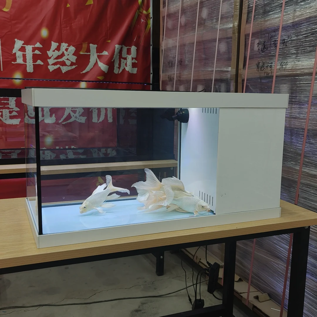 铝合金包边推拉盖超白玻璃侧滤自循环客厅家用生态鱼缸