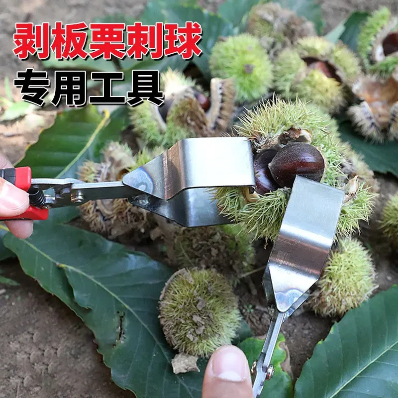 板栗手工脱蓬器剥板栗刺工具开口夹板栗开刺球神器拨板栗开壳神器