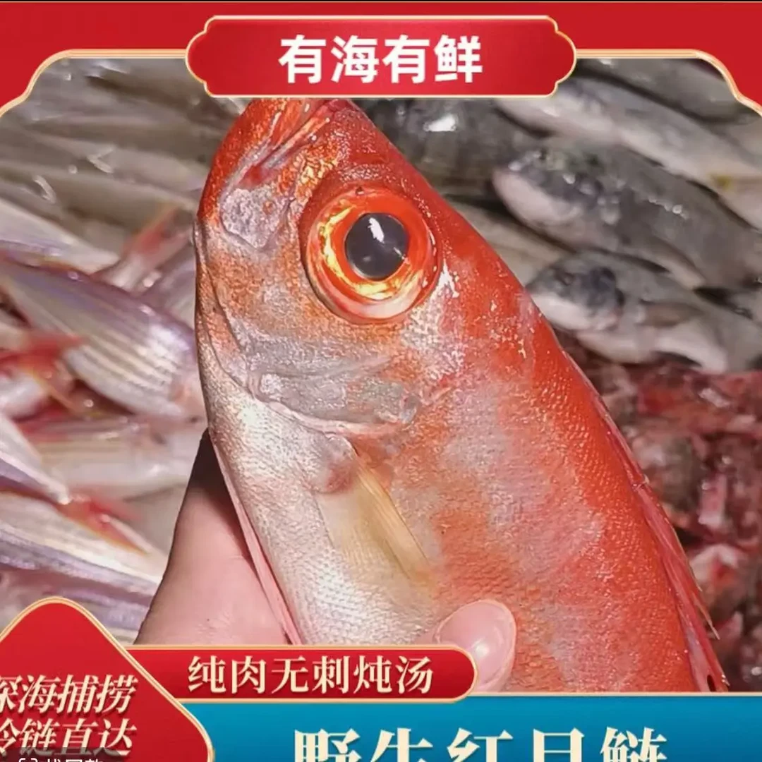 广东海域海捕新鲜野生红目鲢大眼鸡鱼顺丰包邮