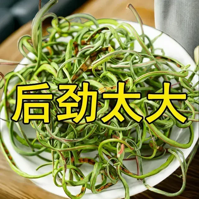 黄金草精选长白山肾精草茶男泡水泡酒肾精茶嗷嗷叫化石草可搭枸杞