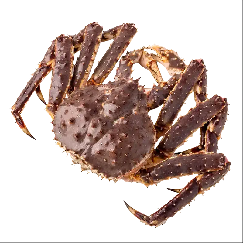 帝王蟹（2250g-2450g)一只