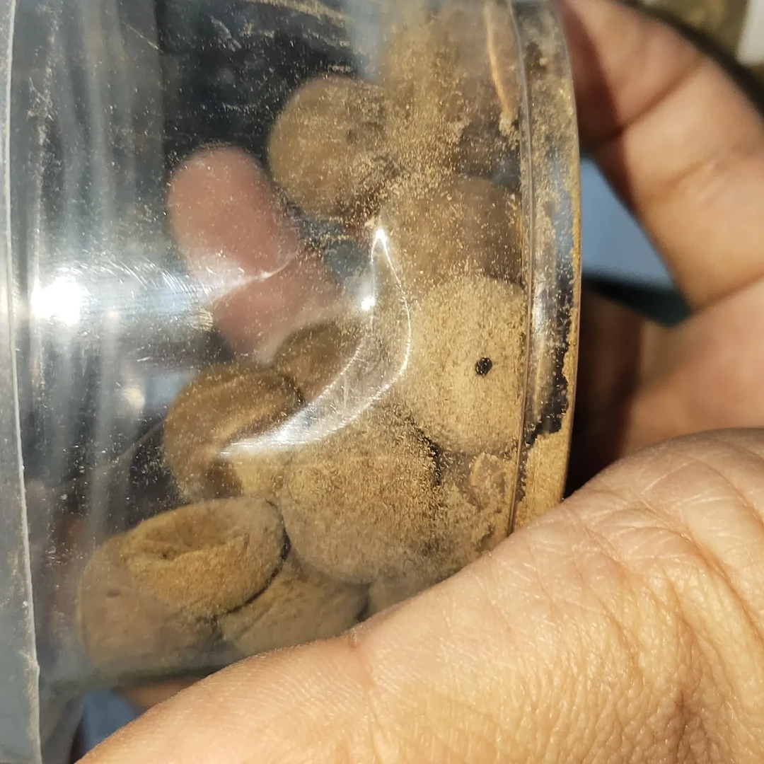 合香珠 状元香残料 香囊 香包像料