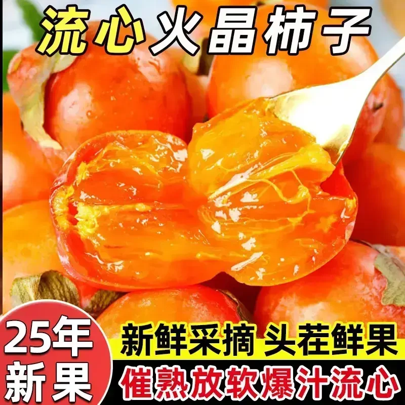 【8月头茬】正宗陕西火晶软柿子 甜蜜流心软糯香甜超好吃时令软柿子