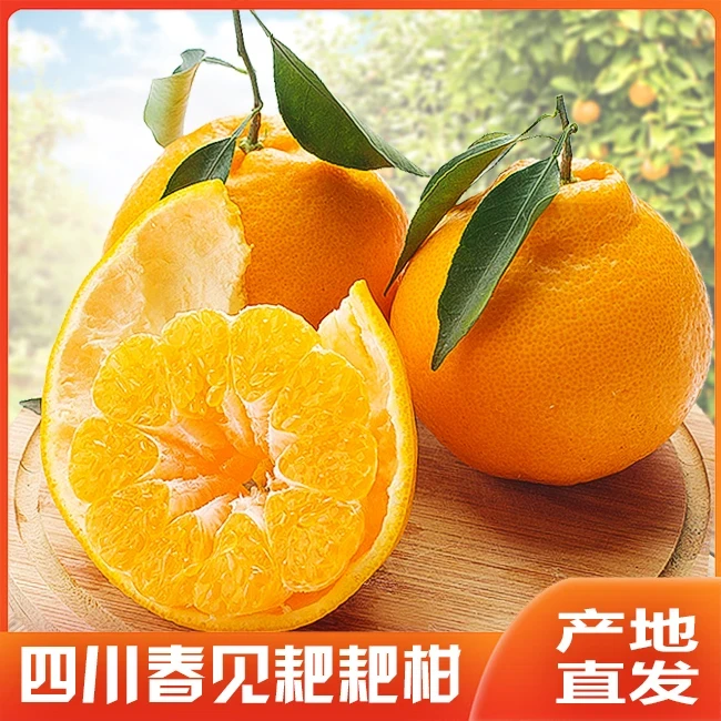 【邮政助农专属】正宗四川耙耙柑 丰富维C爆汁无核dySS4