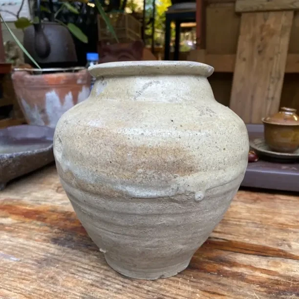 老花盆一物一拍特价不退不换