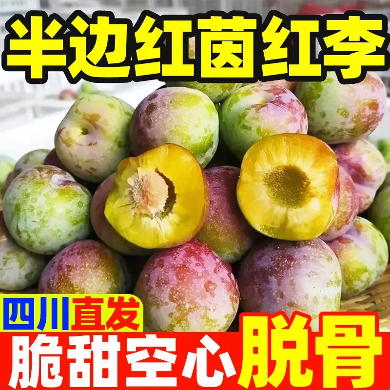 四川半边红茵红李新鲜应季水果脆甜多汁