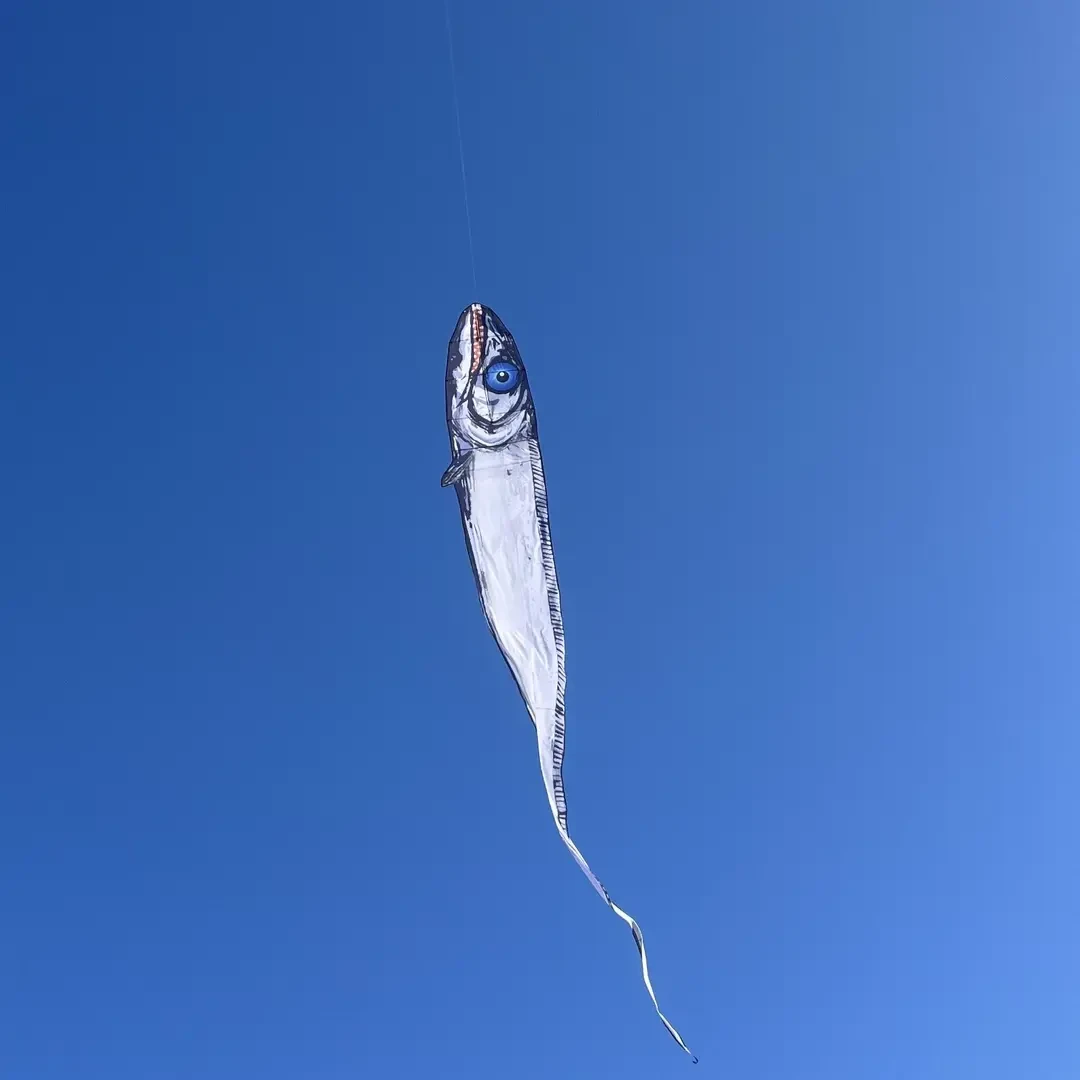 潍坊风筝特大10带鱼风筝