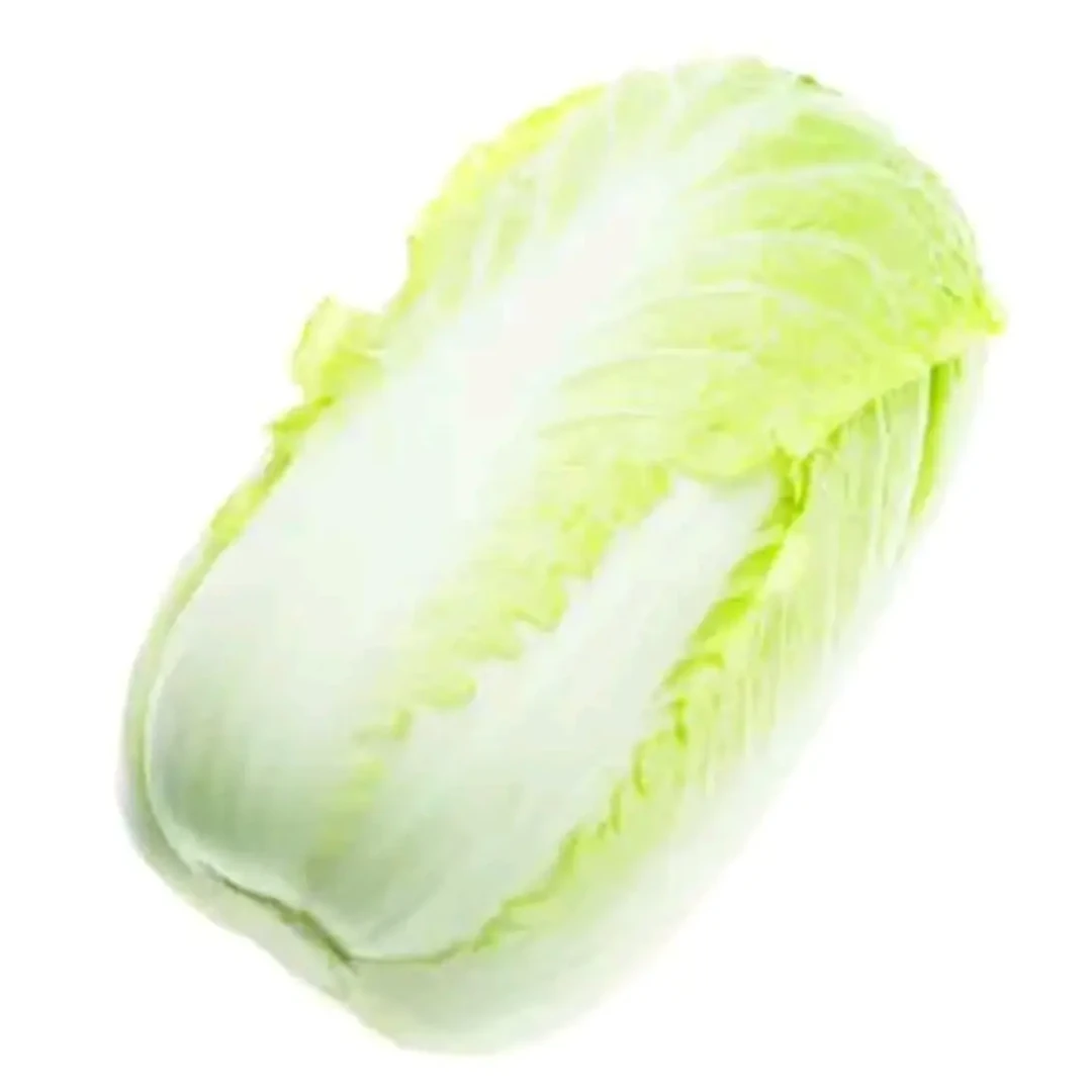 新鲜时令蔬菜包心大白菜约4斤