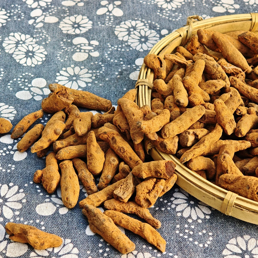 血三七/云南大山里的血三七