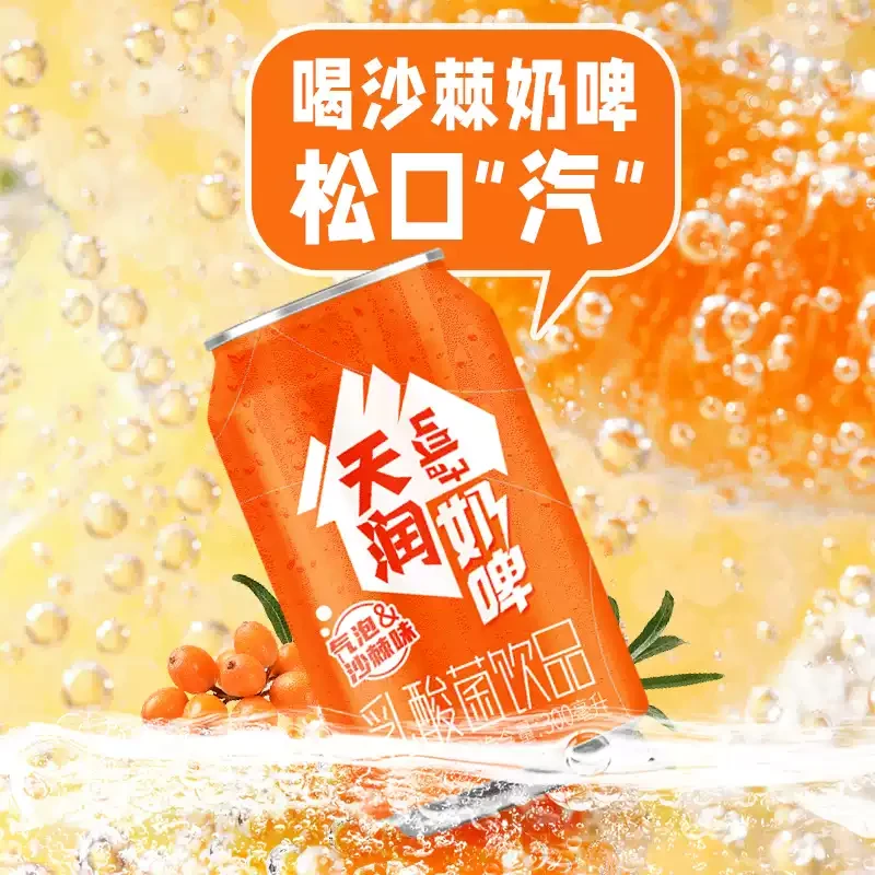 【次日达】天润奶啤沙棘味乳酸菌饮品300ml*12罐/提早餐必备营养奶