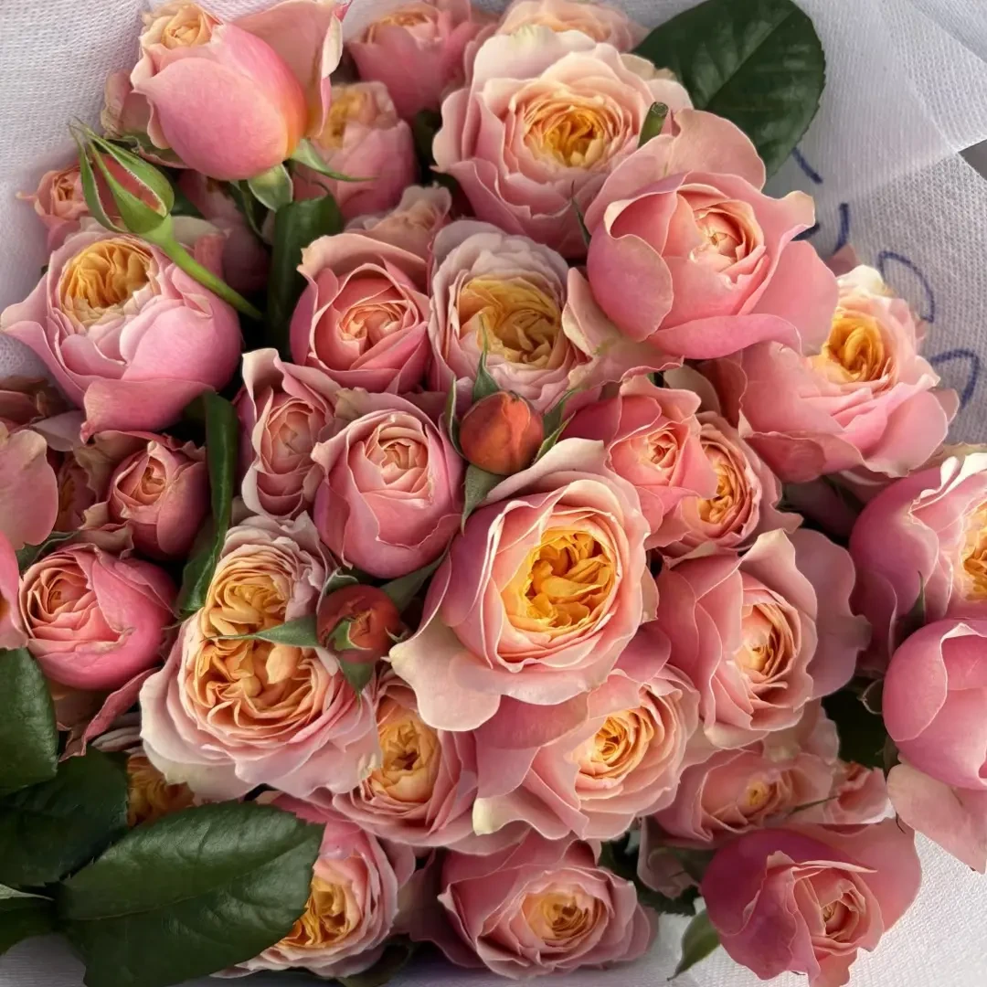 (10把起发)多头黄蝴蝶(花店配货)