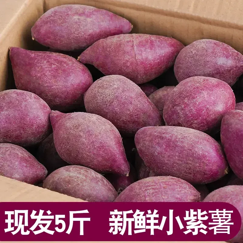 只吃新鲜【半价抢】新鲜紫罗兰紫薯现挖沙地紫心蜜薯红薯地瓜烟薯