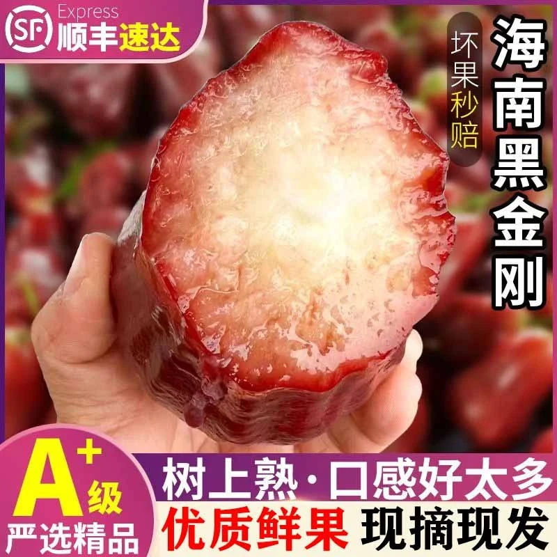 【顺丰京东包邮】海南黑金刚莲雾2/3/5斤 清甜脆口汁水充盈