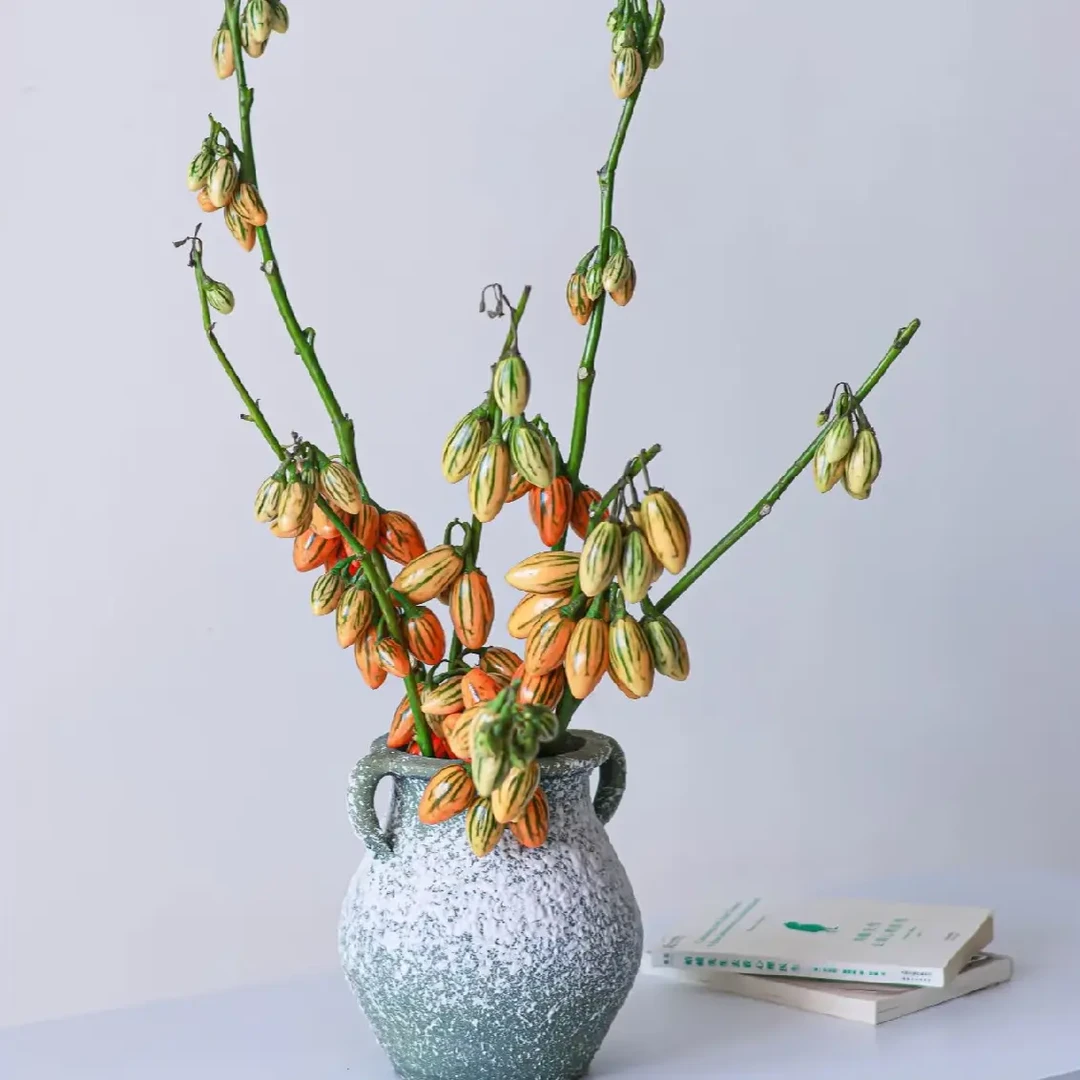 （优花阁）长寿果鲜花昆明基地现采现发花期超长