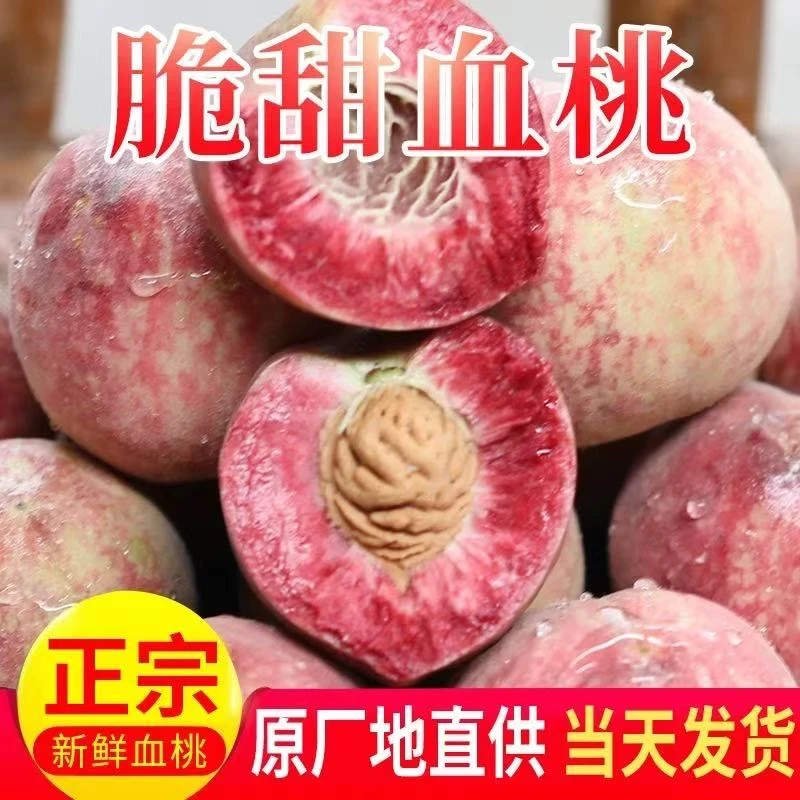 【抢购！】1正宗头茬血桃 新鲜现摘现发当季时令香甜小果桃子3/5斤ZD
