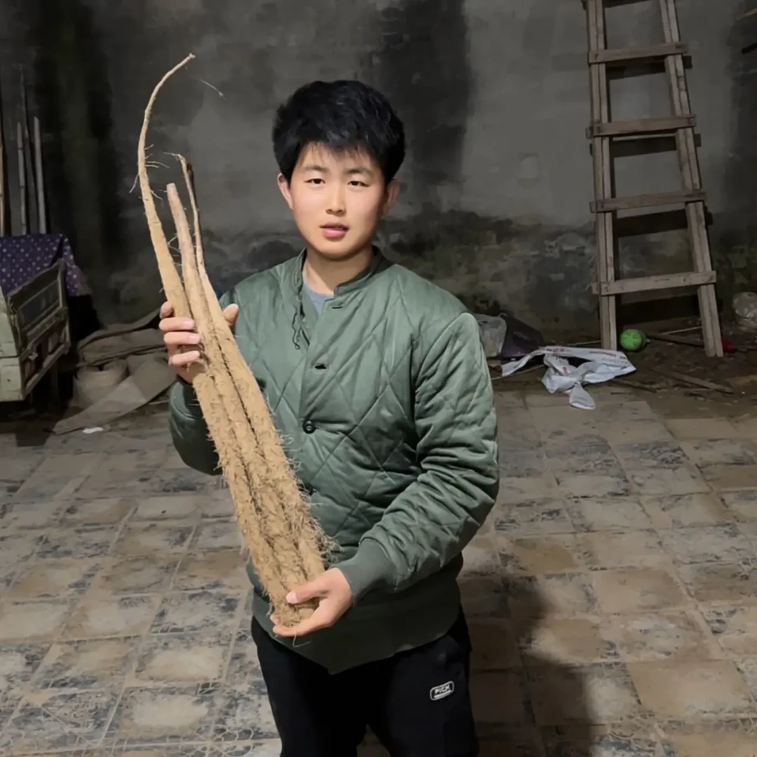 河北邯郸2025新鲜白玉山药来喽小通货