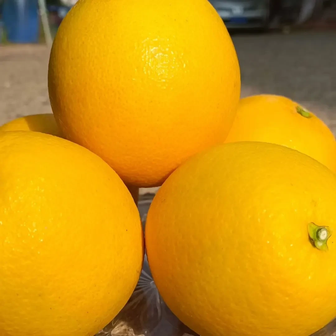 正宗江西赣南脐橙新鲜甜橙子应季现摘产地直发孕妇当季水果