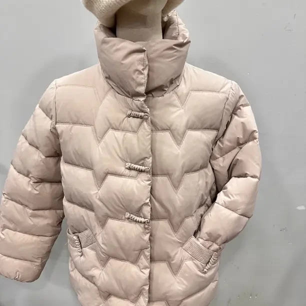 常规款保暖立领纯色不褪色百搭短款秋冬轻薄冬季女士