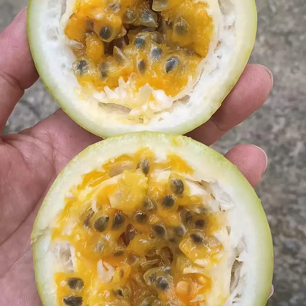 钦蜜9号百香果新鲜现摘当季水果鲜甜多汁坏果包赔