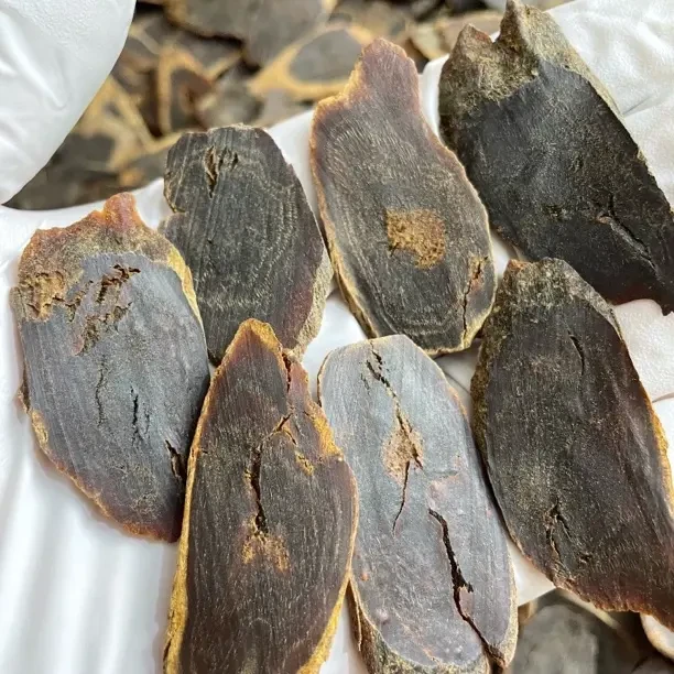 长白山高丽籽一代黑参片九蒸九晒斜切大片参裂款老参干货