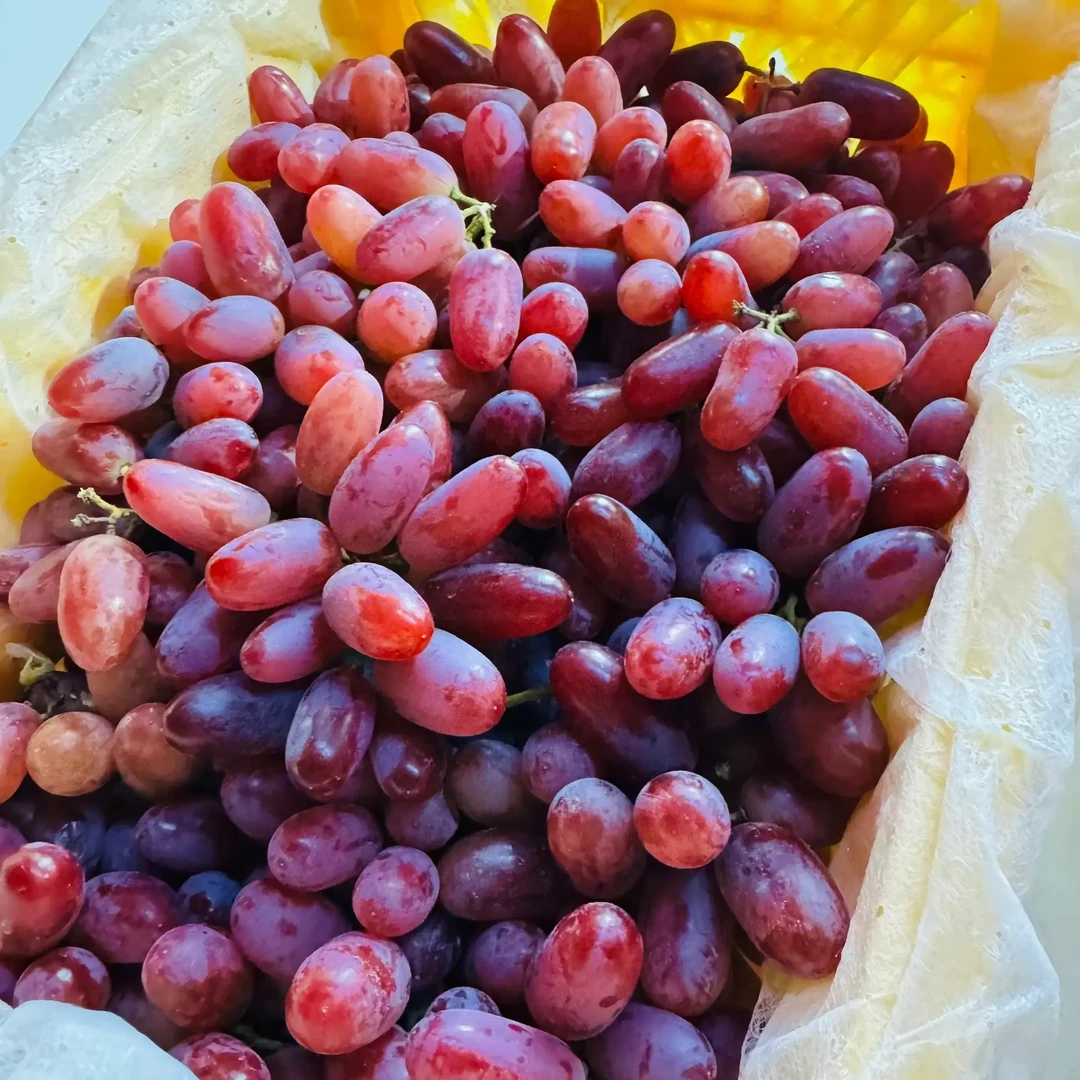 新疆克伦生无籽红提新鲜现摘脆甜多汁当季水果