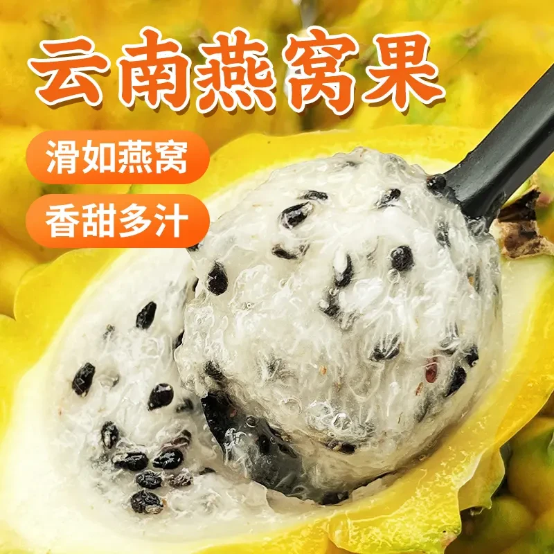 【顺丰包邮】燕窝果新鲜采摘麒麟果爽口孕妇香甜时令海南黄皮火龙果