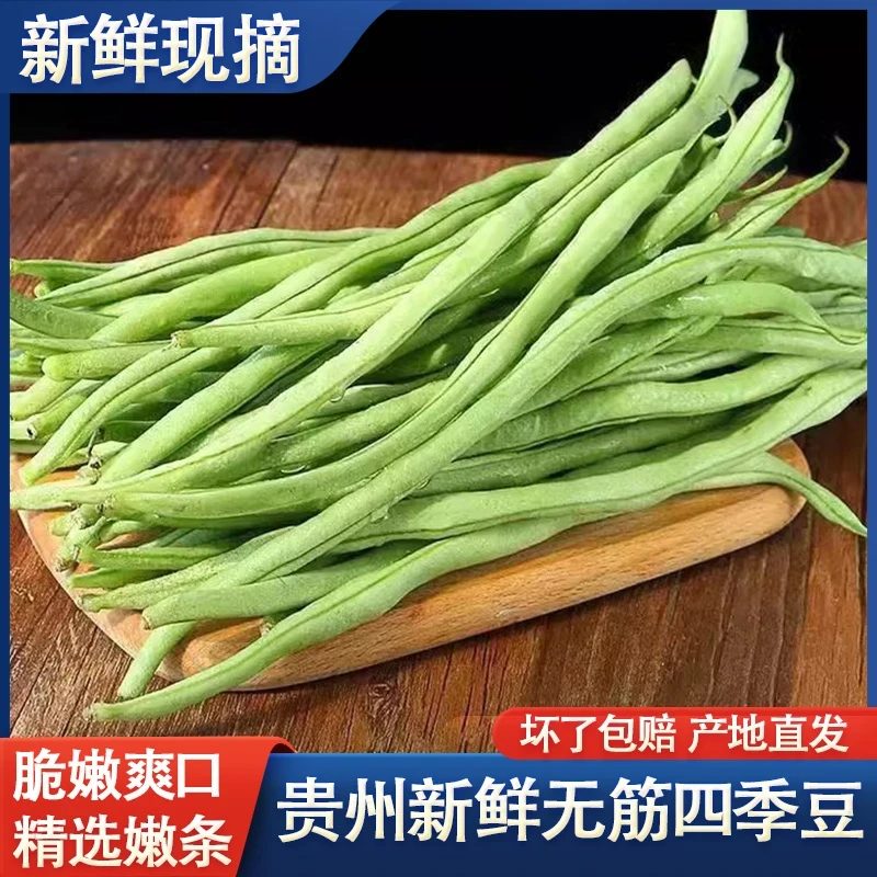 新鲜蔬菜无筋豆架豆王新鲜四季豆批发架豆王无茎豆批发农家种植
