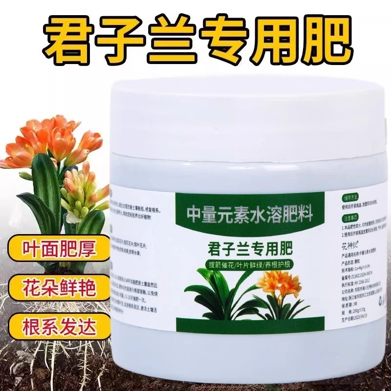 【3·99抢】君子兰专用肥抽箭促花叶片光泽颗粒缓释营养颗粒有机肥料