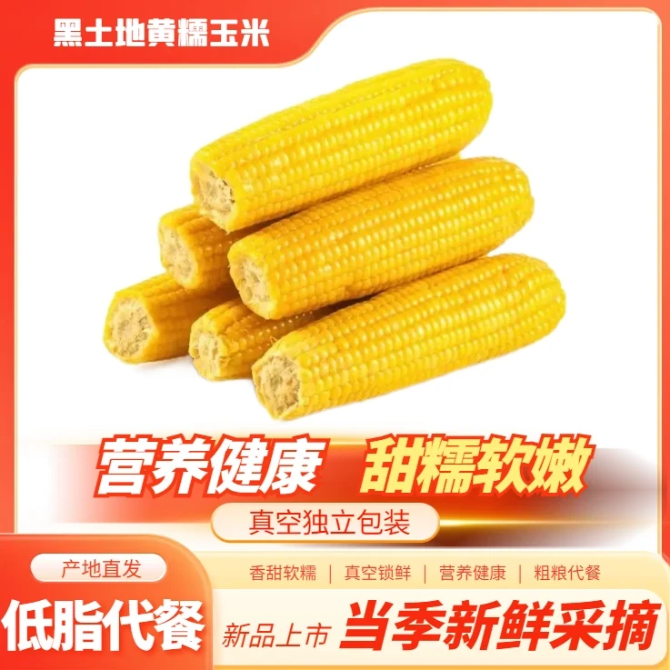 东北精品黄糯玉米产地直发12支软糯香甜独立真空包装