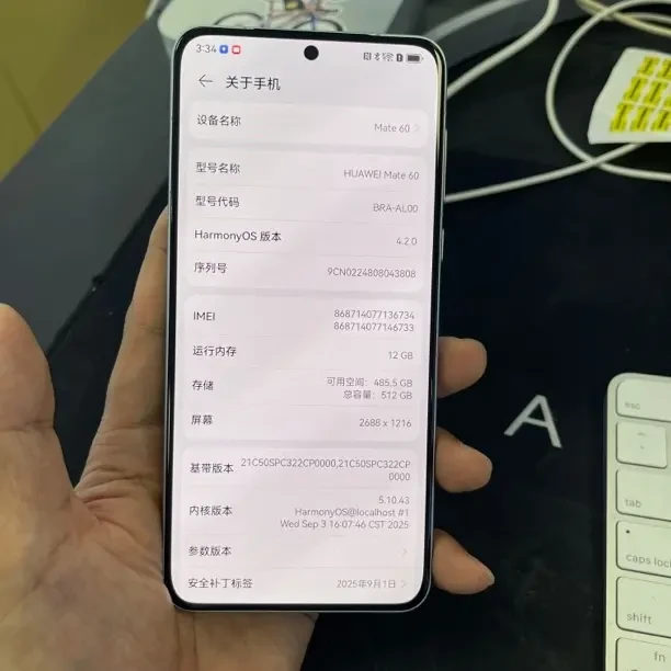 99新 Huawei/华为 华为mate60雅川青纯原嘎嘎靓