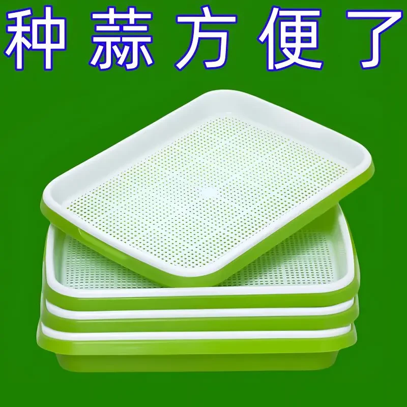 水培蒜苗专用蒜苗盘种蒜神器育苗盘种植盘【能种蒜苗,能种芽苗菜】
