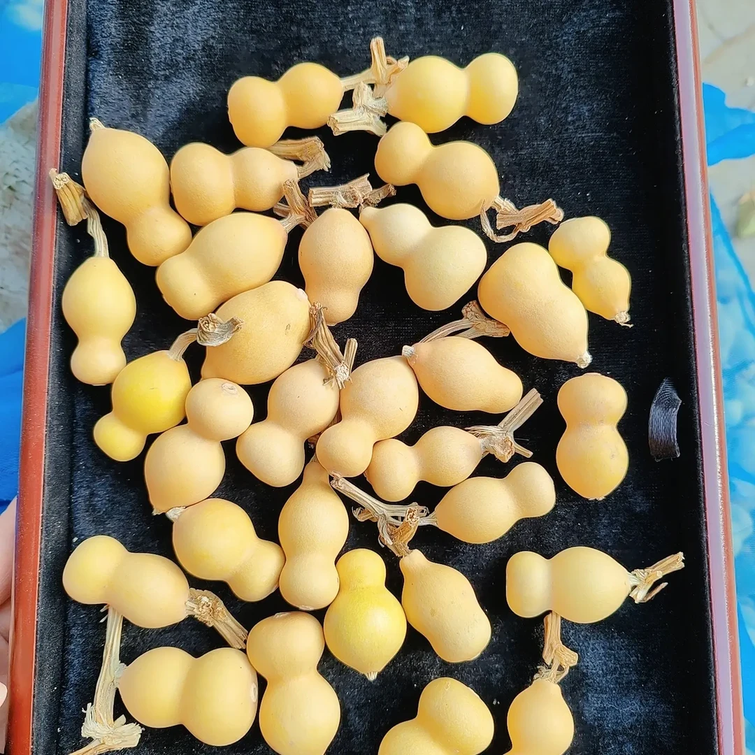 天然小葫芦4公分左右105个可穿串可盘玩随机发货