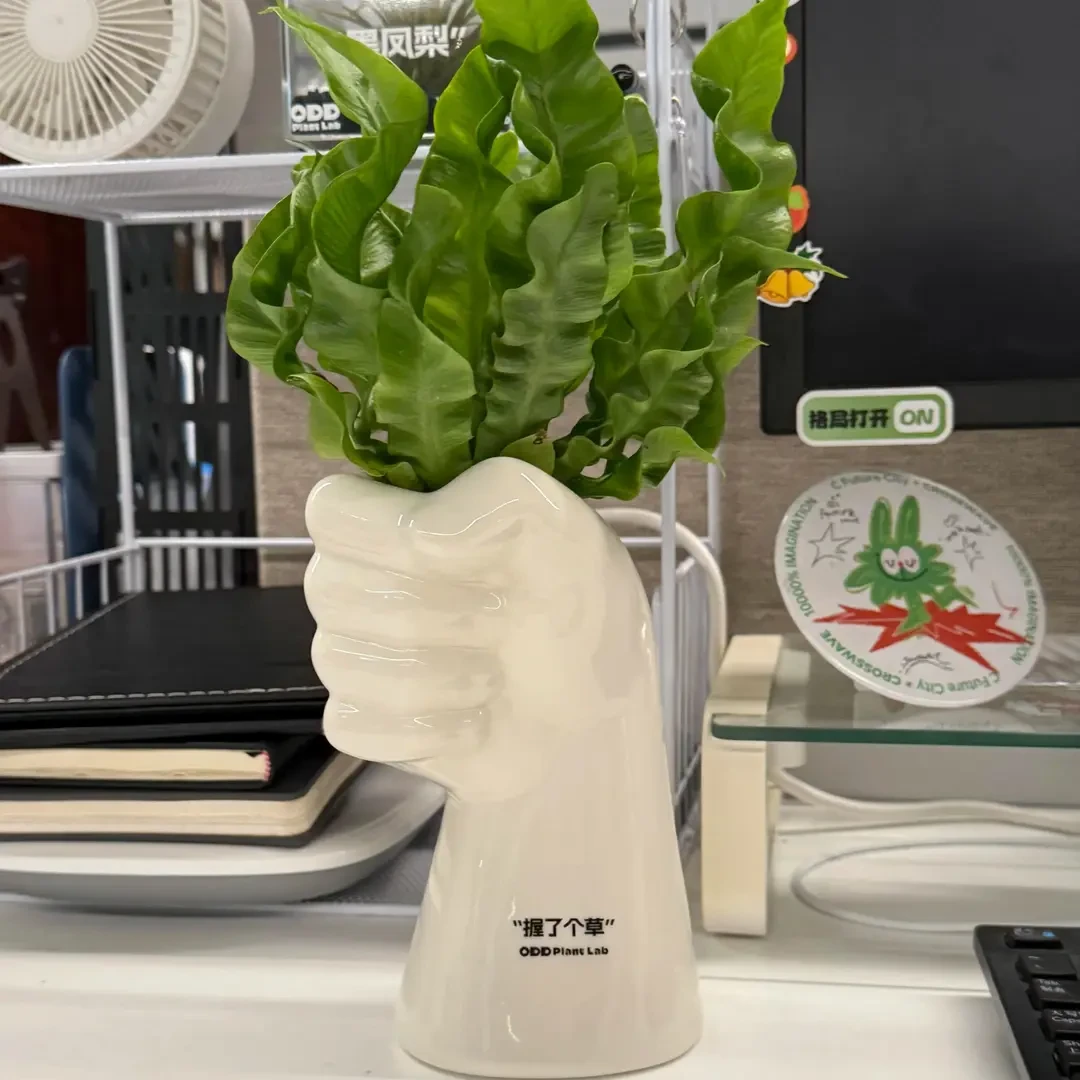 握草花瓶轻奢高级感摆件客厅插花水养水培绿植设计感小众家居装饰