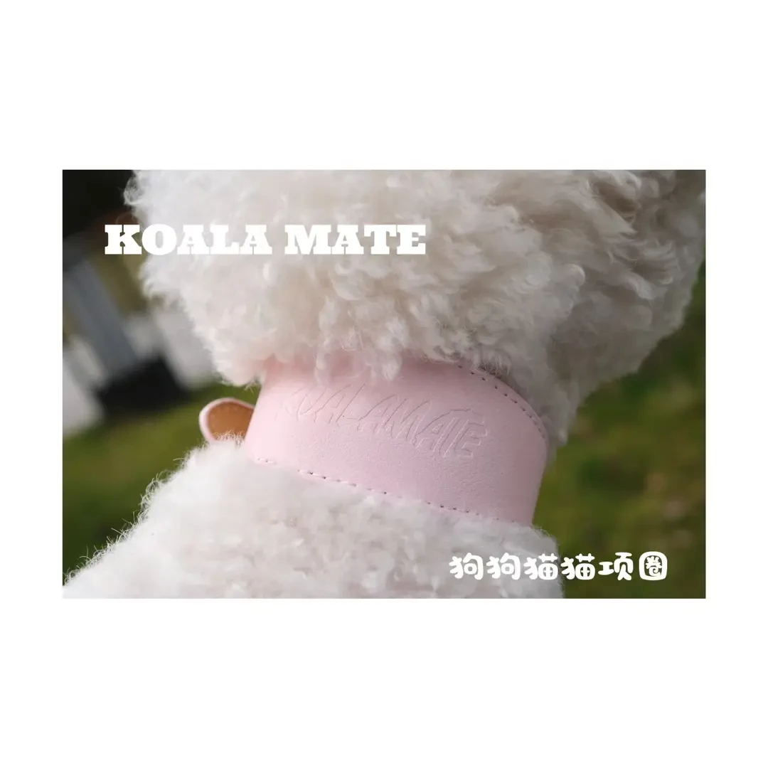 KOALA MATE考拉伙伴宠物项圈中小型犬遛狗狗猫咪脖子项链颈圈