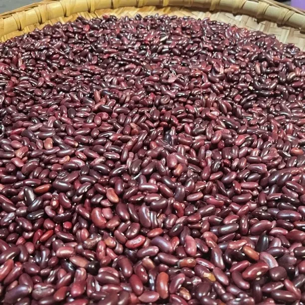 红腰豆红豆新货农家自产