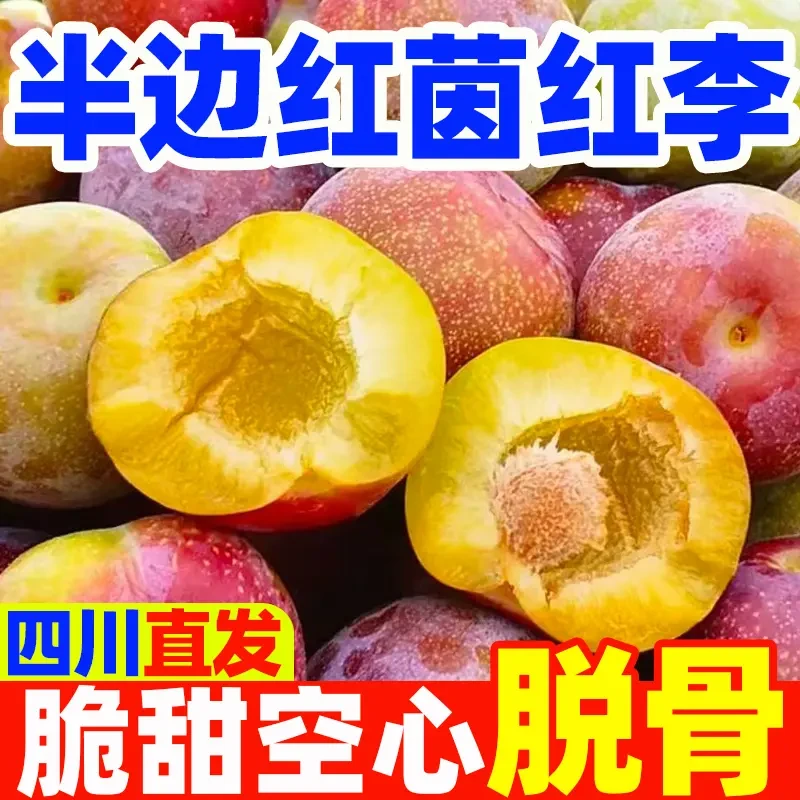 四川正宗半边红茵红李脱骨李新鲜应季水果脆甜脱骨多汁