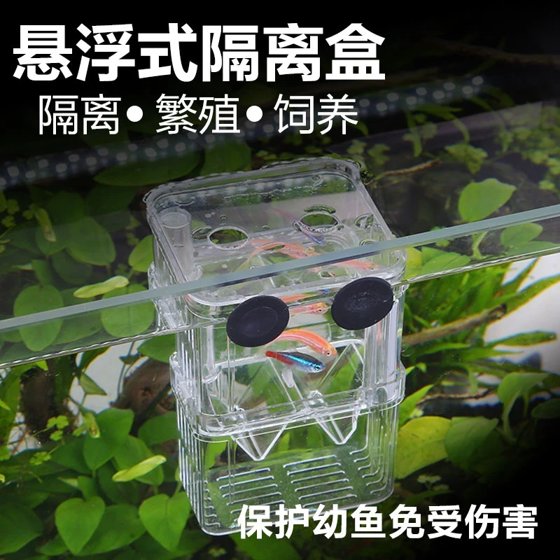 孔雀鱼繁殖盒幼鱼鱼缸隔离斗鱼鱼苗产卵器热带鱼亚克力孵化盒
