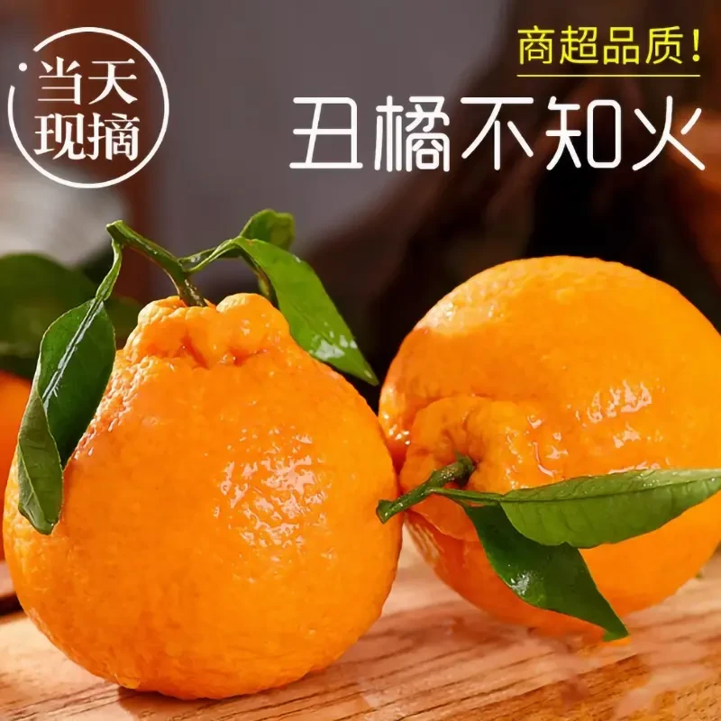 高山不知火丑橘水果新鲜应当季水果丑柑整箱1-9斤桔子柑橘丑八怪