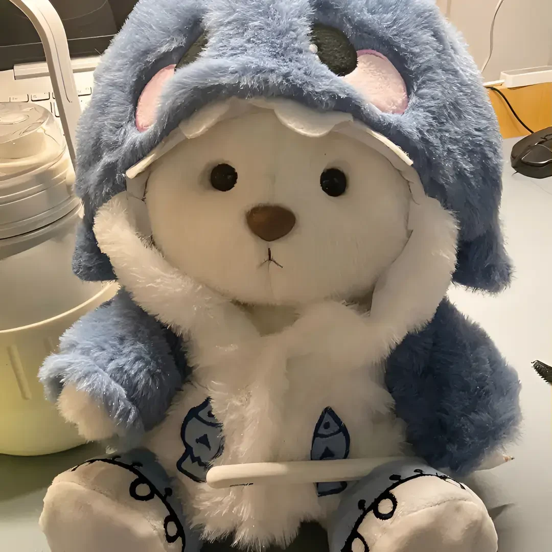 正版小熊毛绒玩具玩偶送女生娃娃闺蜜生日礼物女友玩偶毛绒玩具礼